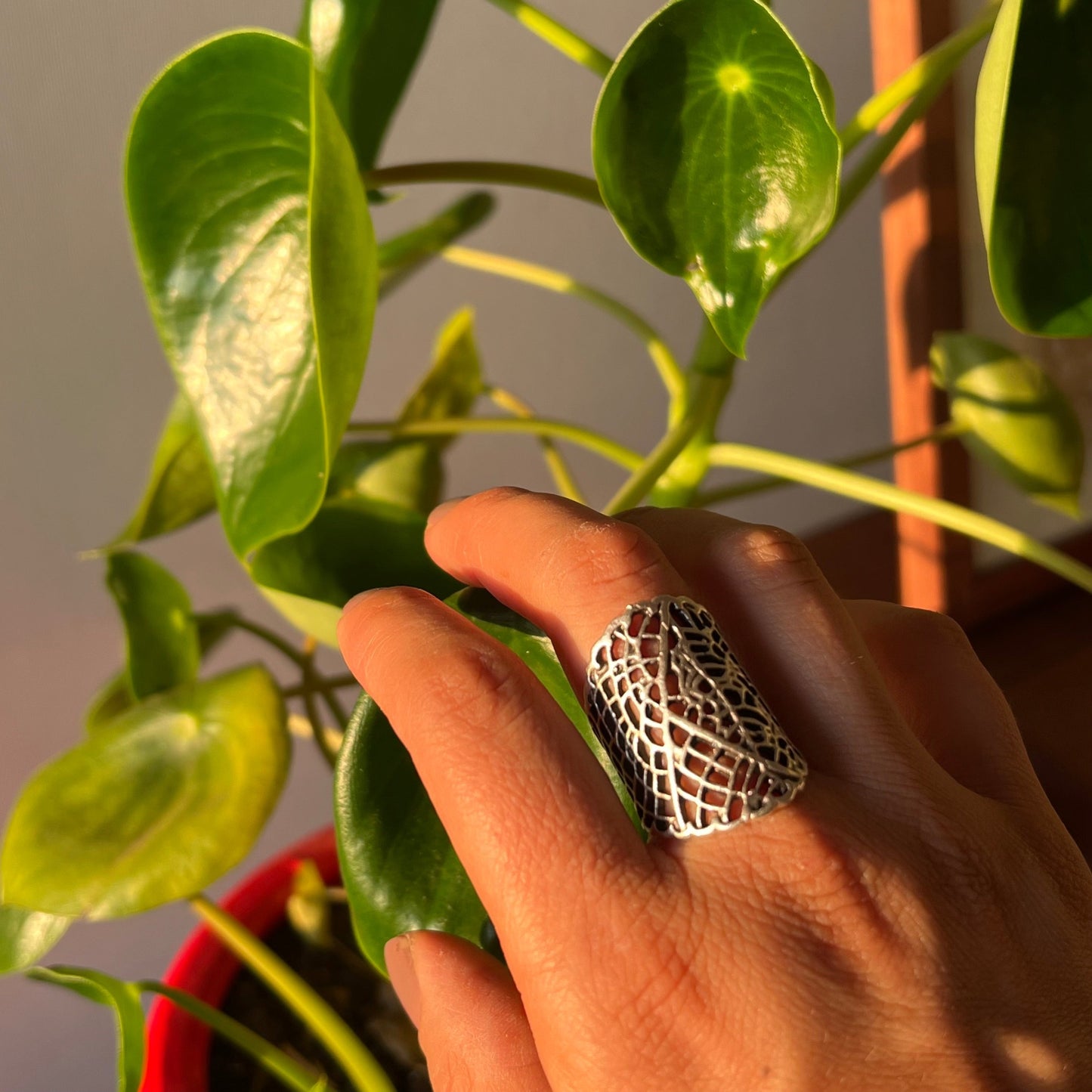 Anillo Sofía