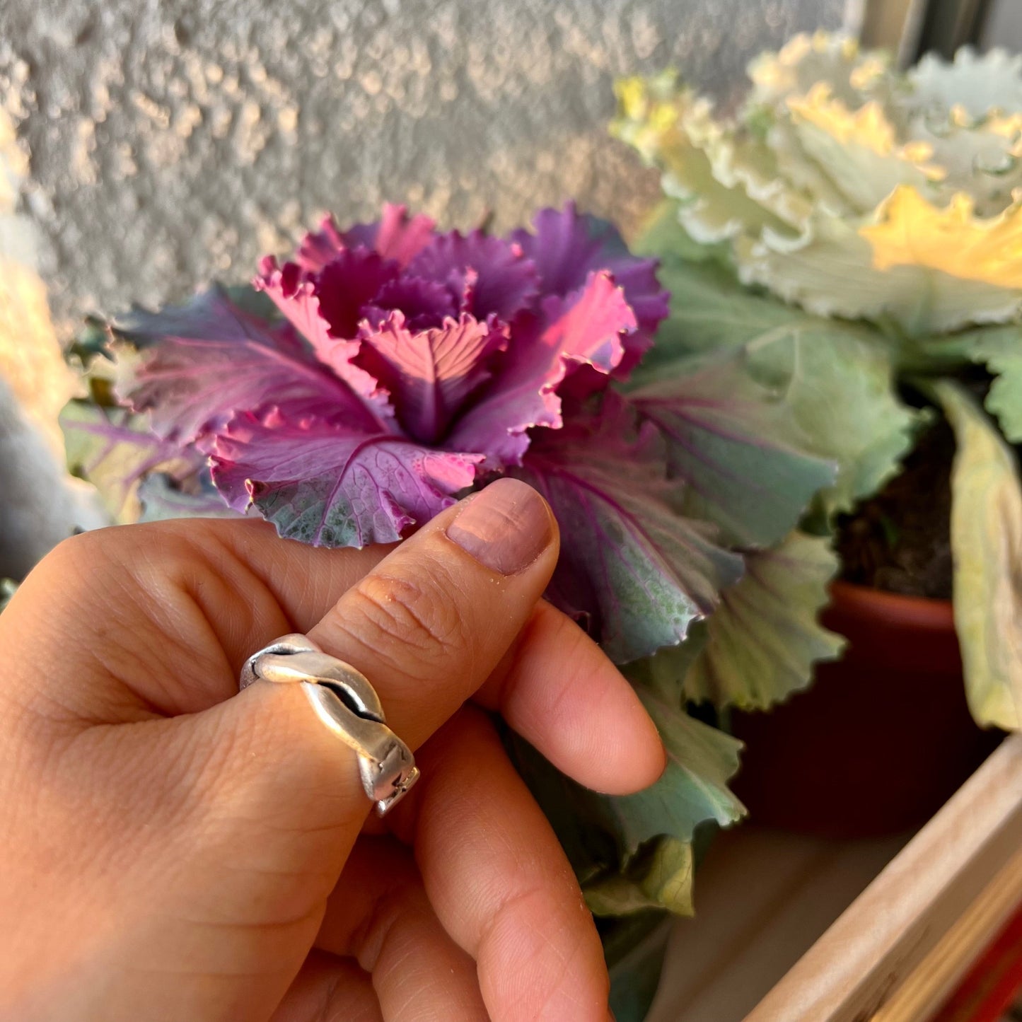 Anillo Enlazado