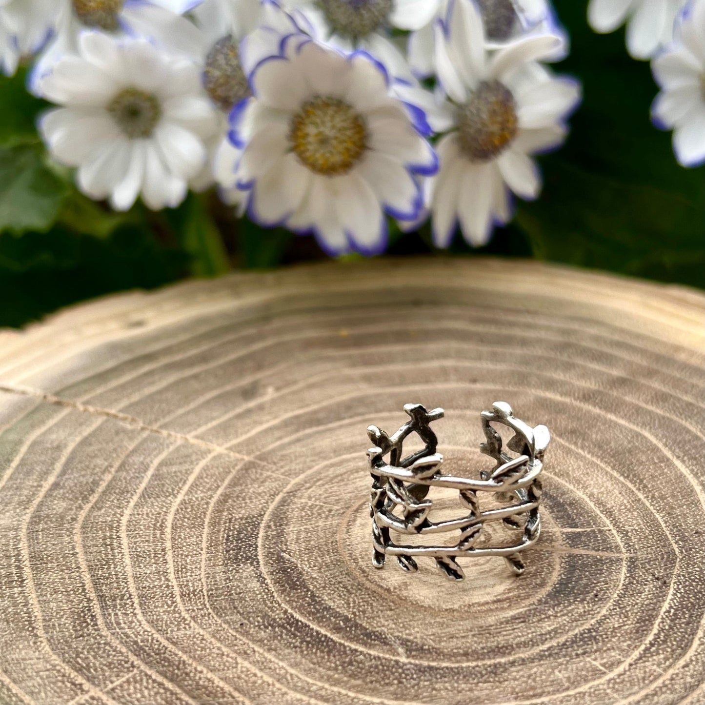Anillo Otoño