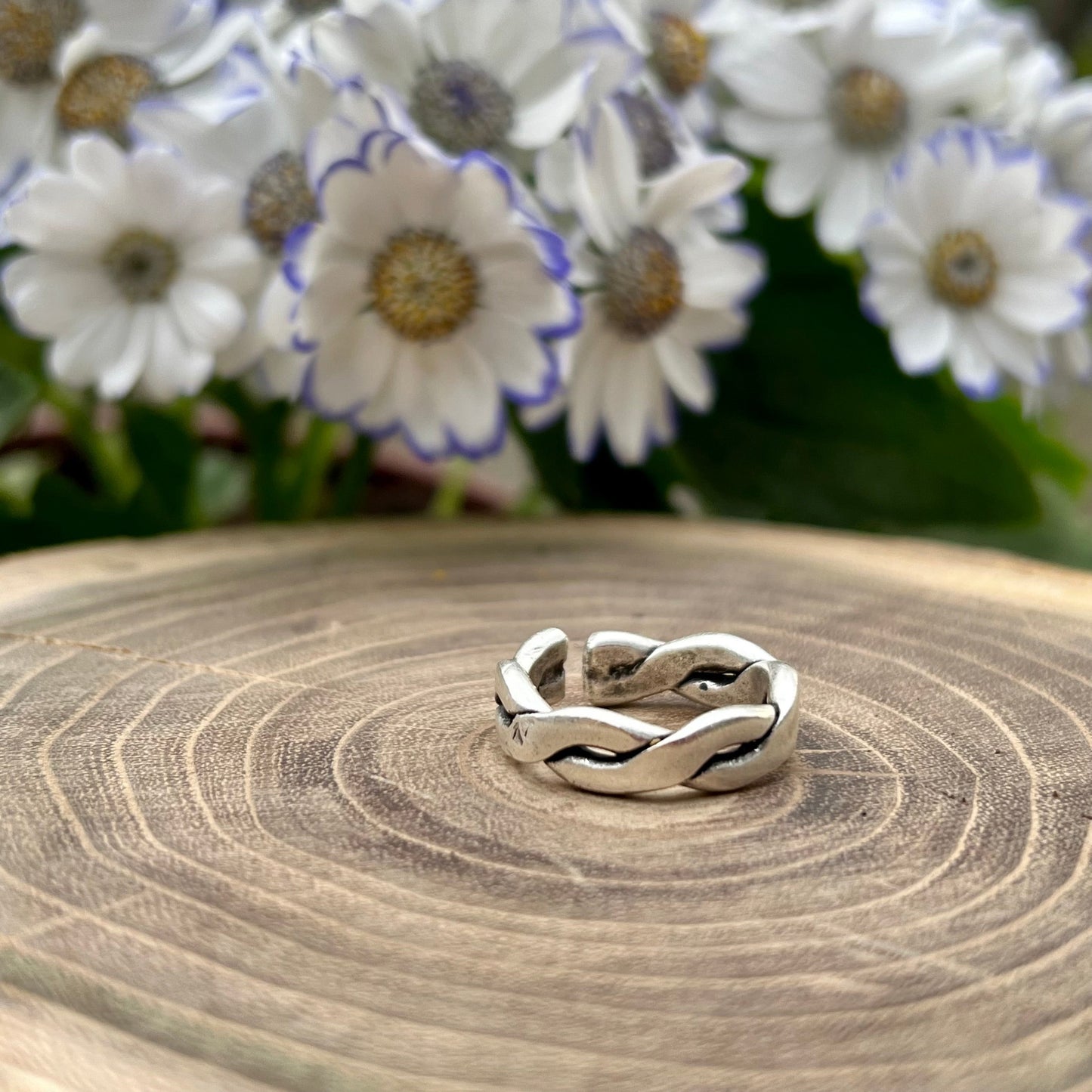 Anillo Enlazado