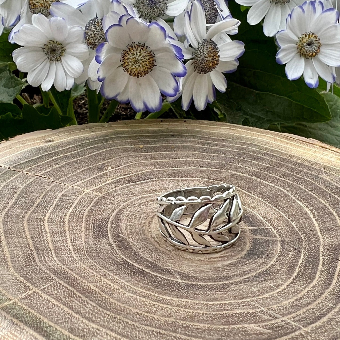 Anillo Victoria