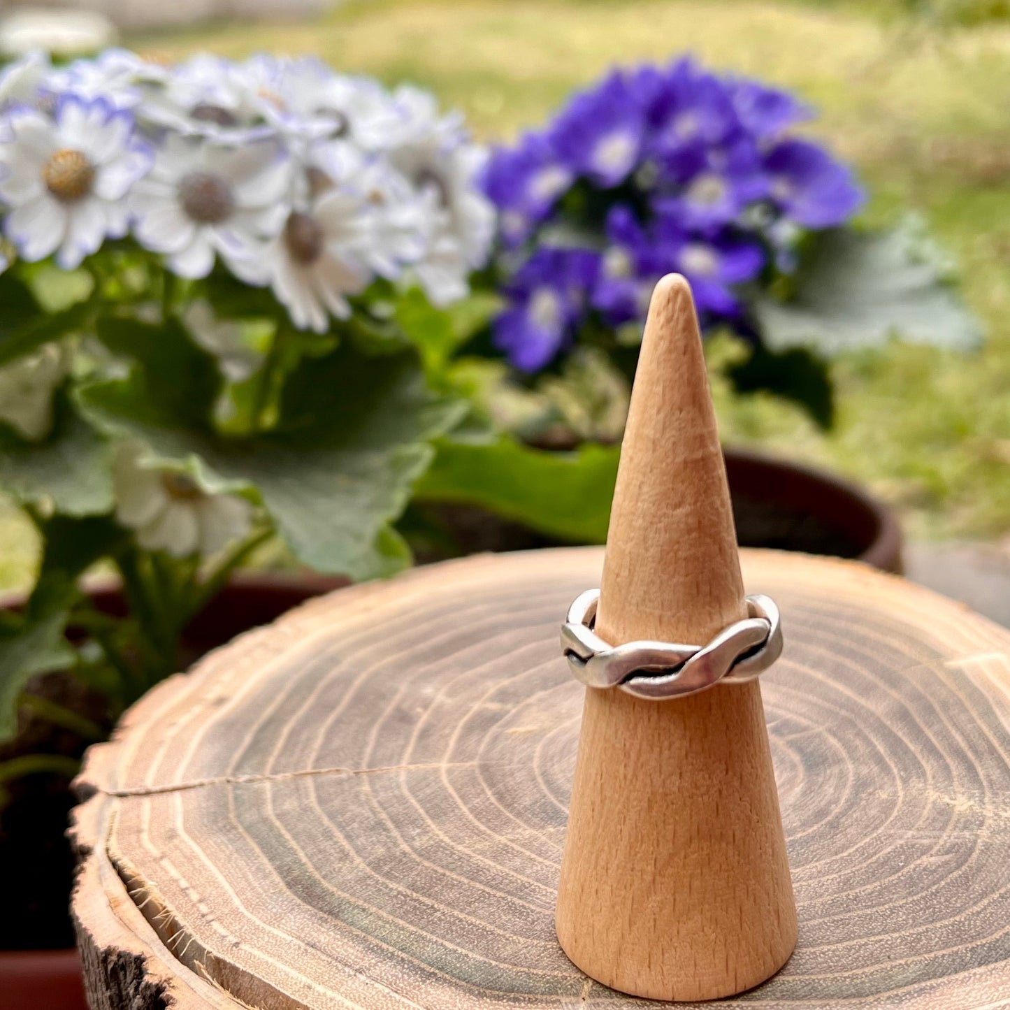 Anillo Enlazado
