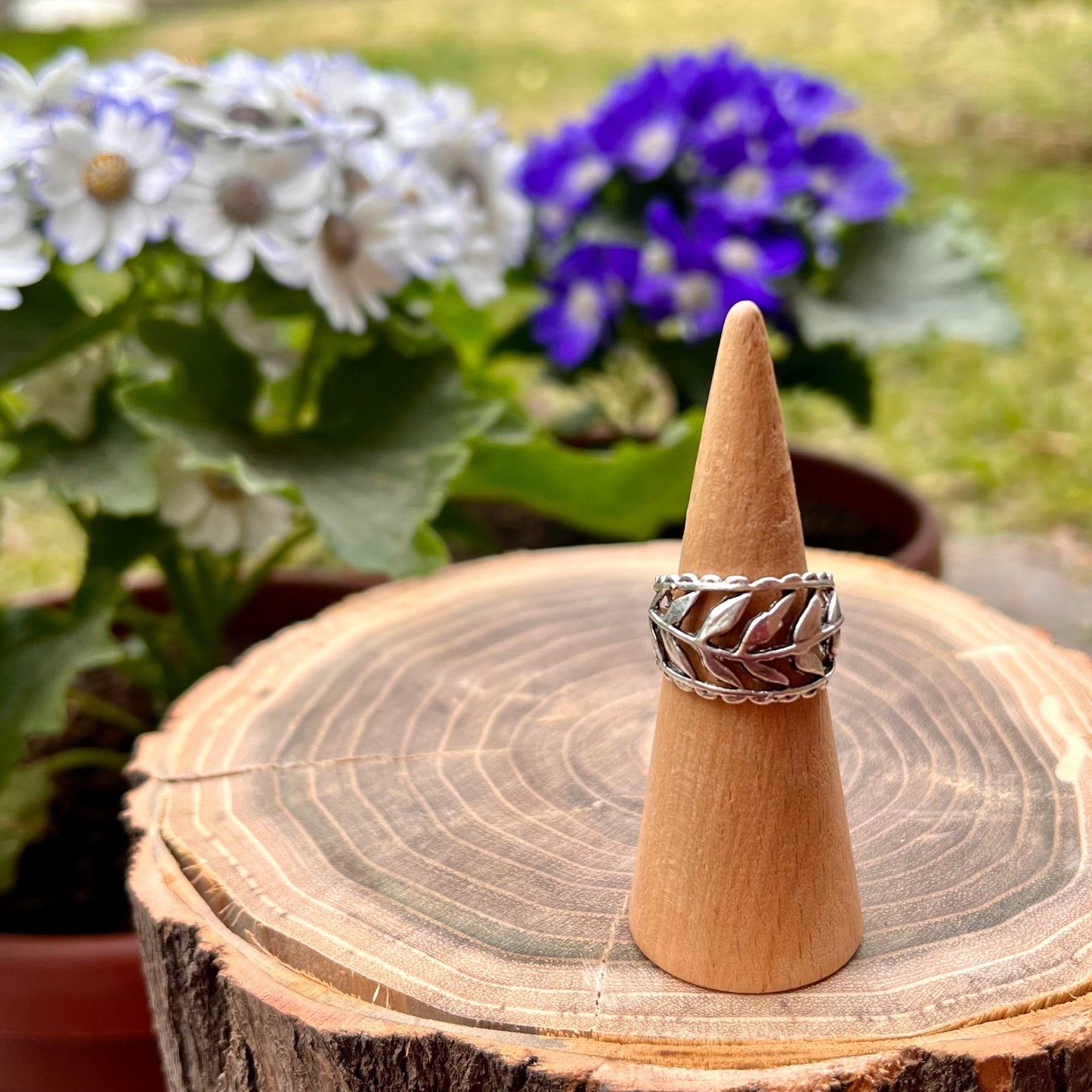Anillo Victoria