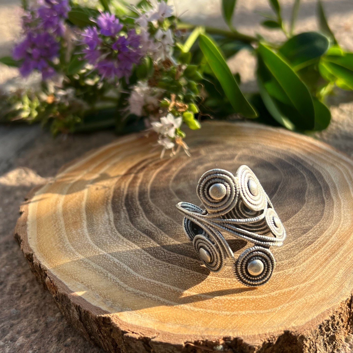 Anillo Merak