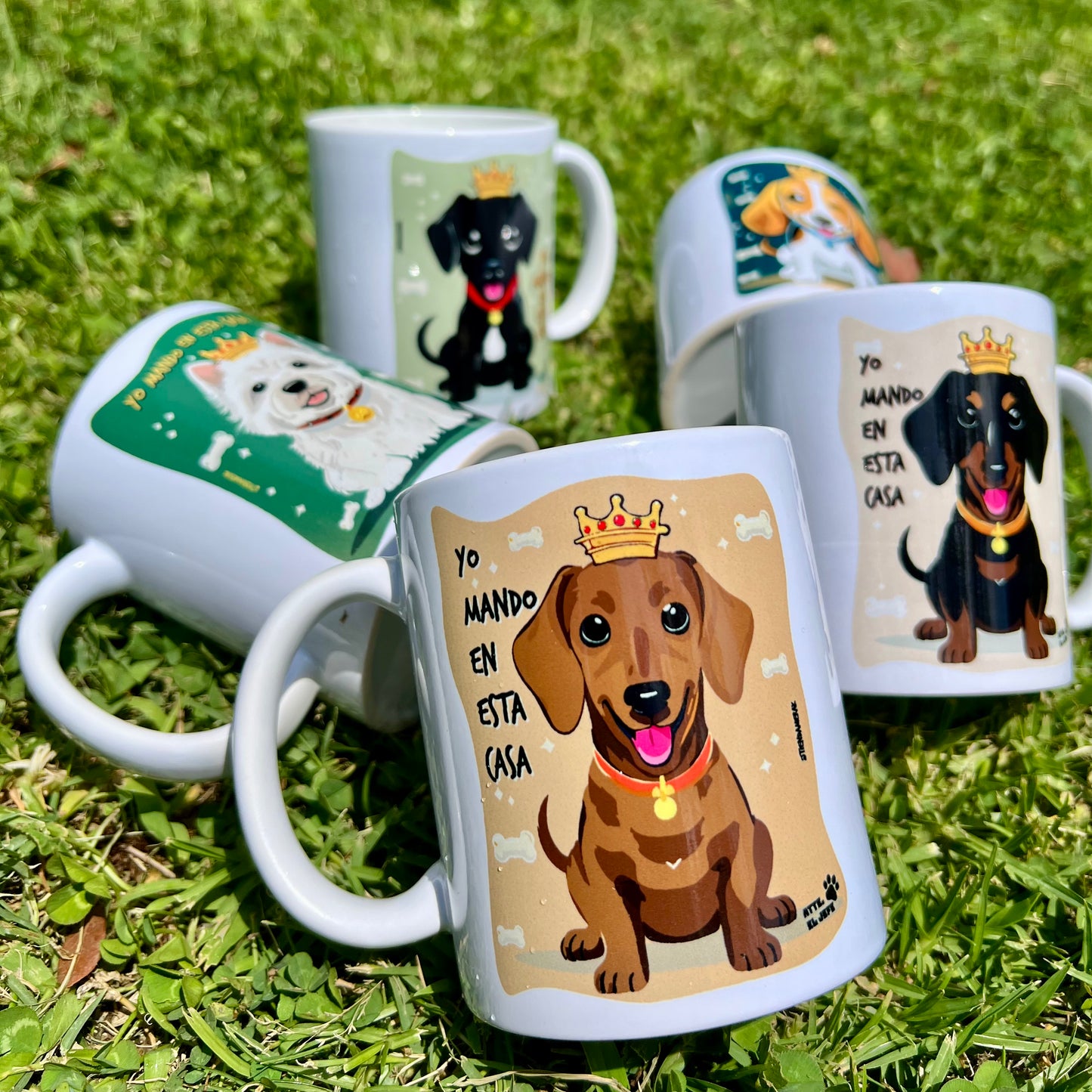 Tazón "Yo mando en esta casa" ☕👑