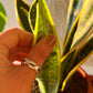 Anillo Enlazado