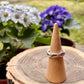 Anillo Enlazado