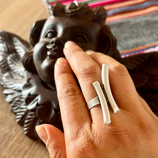 Anillo Conexión
