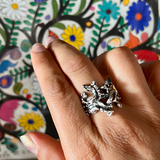 Anillo Conexiones