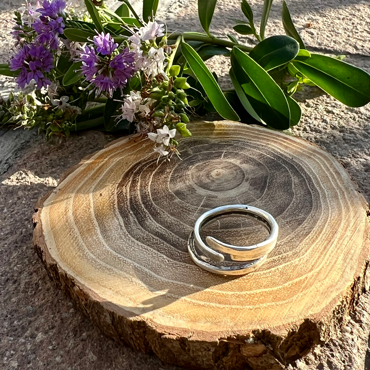 Anillo Puentes