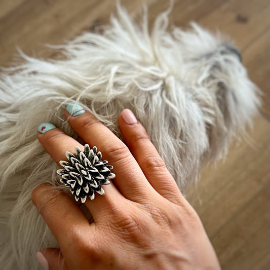 Anillo Chascón
